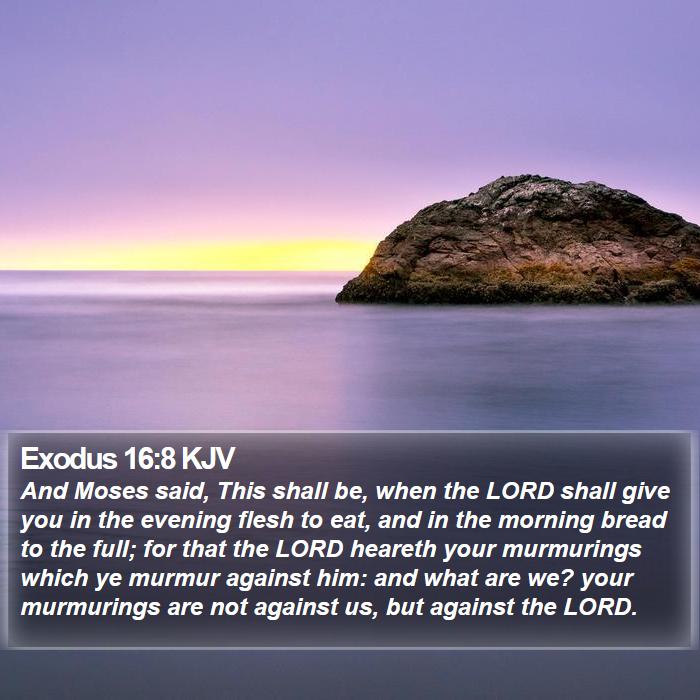 Exodus 16:8 KJV Bible Study