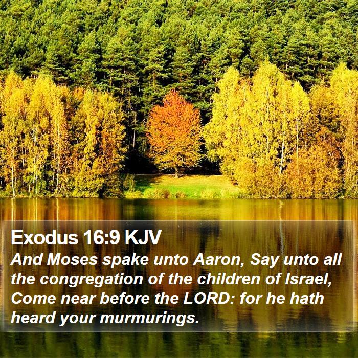 Exodus 16:9 KJV Bible Study