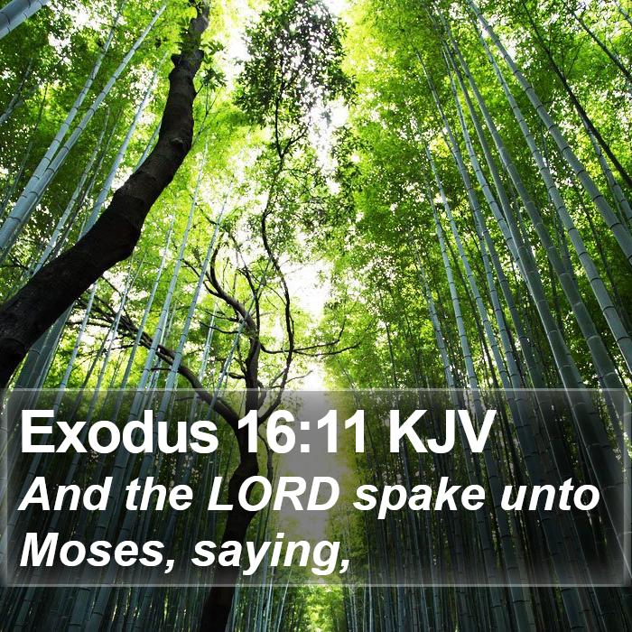 Exodus 16:11 KJV Bible Study