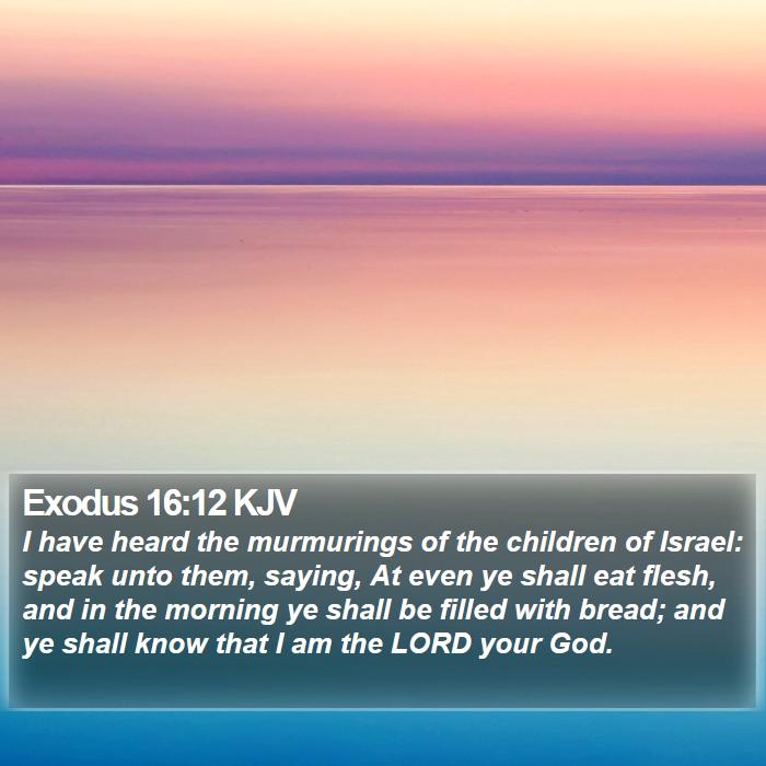 Exodus 16:12 KJV Bible Study