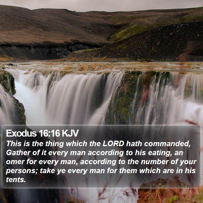 Exodus 16:16 KJV Bible Study