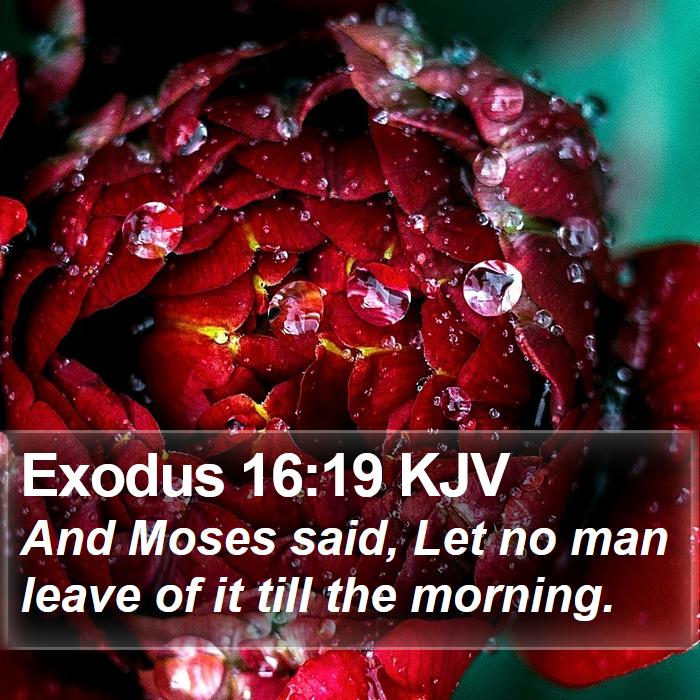 Exodus 16:19 KJV Bible Study