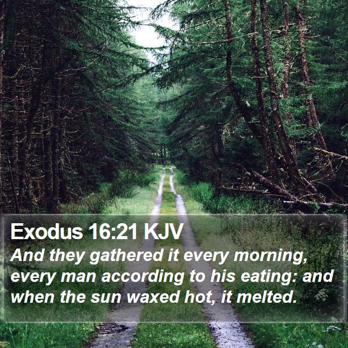 Exodus 16:21 KJV Bible Study