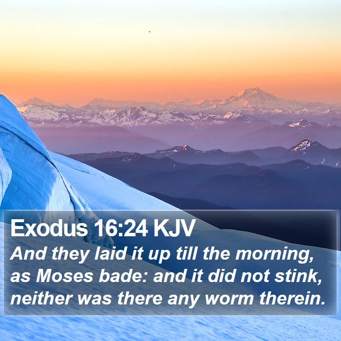 Exodus 16:24 KJV Bible Study