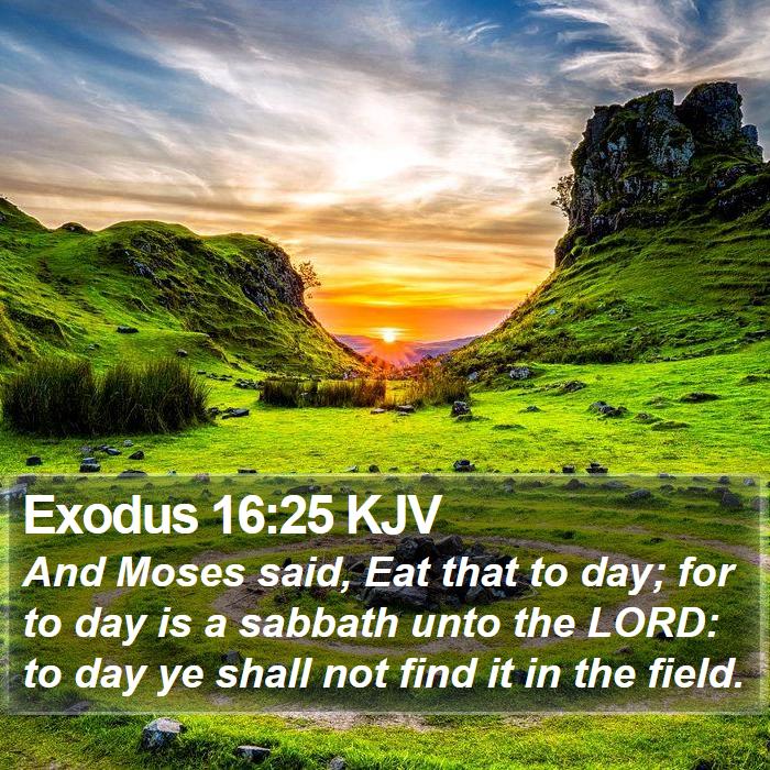 Exodus 16:25 KJV Bible Study