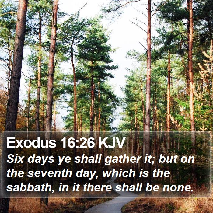 Exodus 16:26 KJV Bible Study