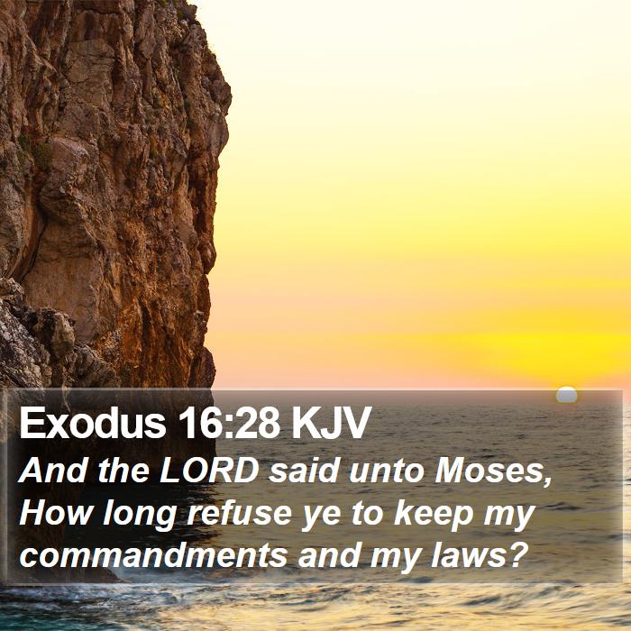 Exodus 16:28 KJV Bible Study