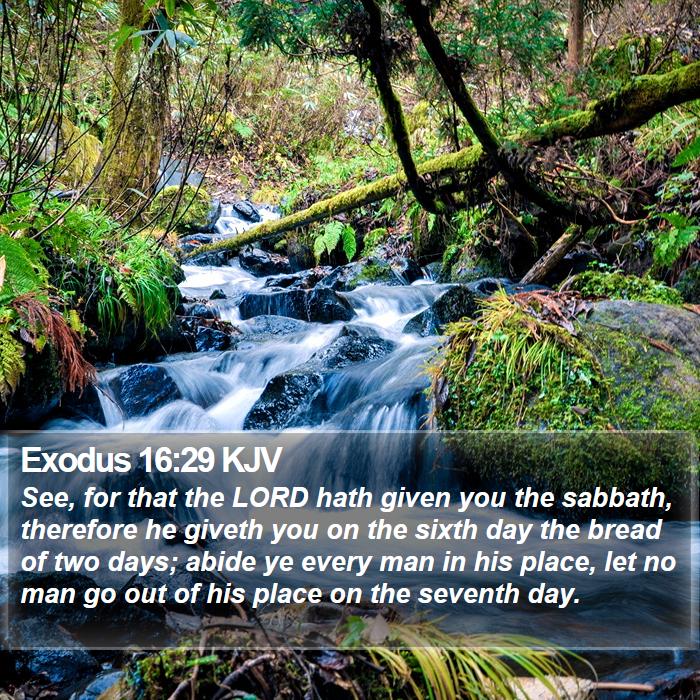 Exodus 16:29 KJV Bible Study