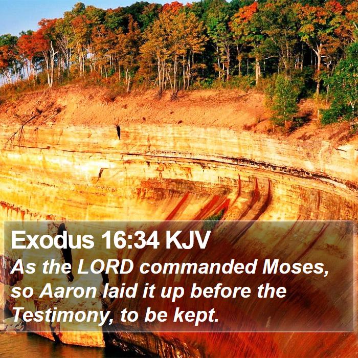 Exodus 16:34 KJV Bible Study