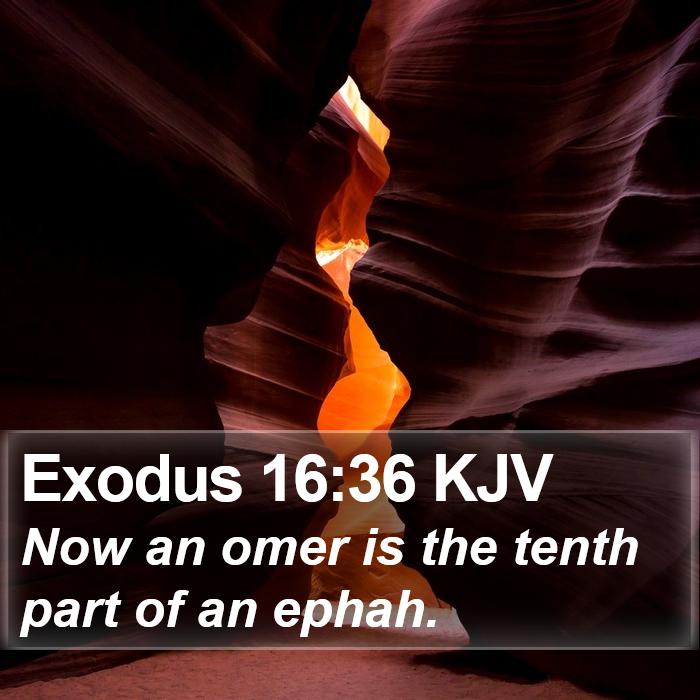 Exodus 16:36 KJV Bible Study