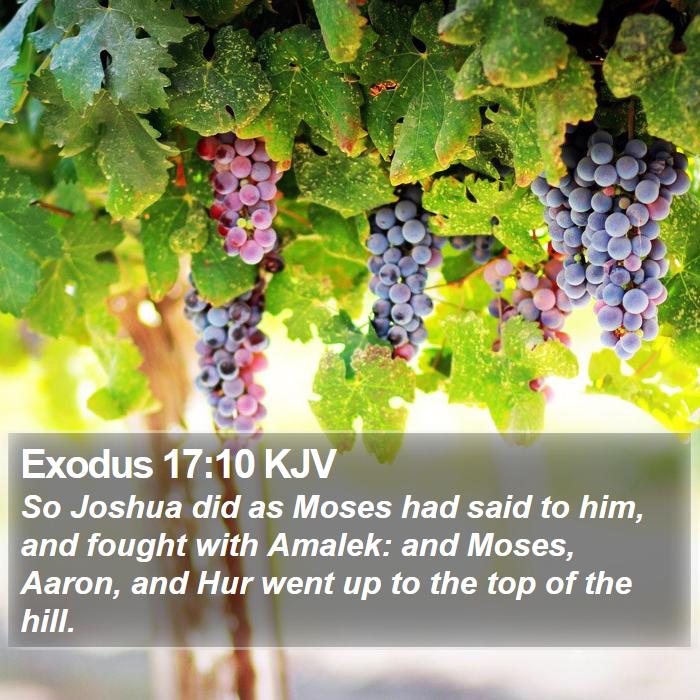 Exodus 17:10 KJV Bible Study