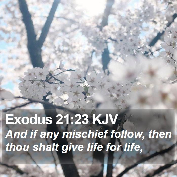 Exodus 21:23 KJV Bible Study