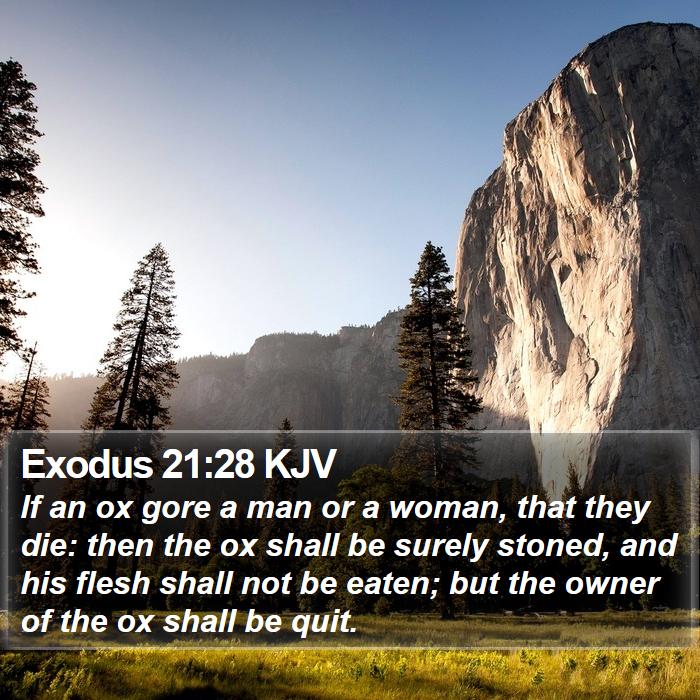 Exodus 21:28 KJV Bible Study