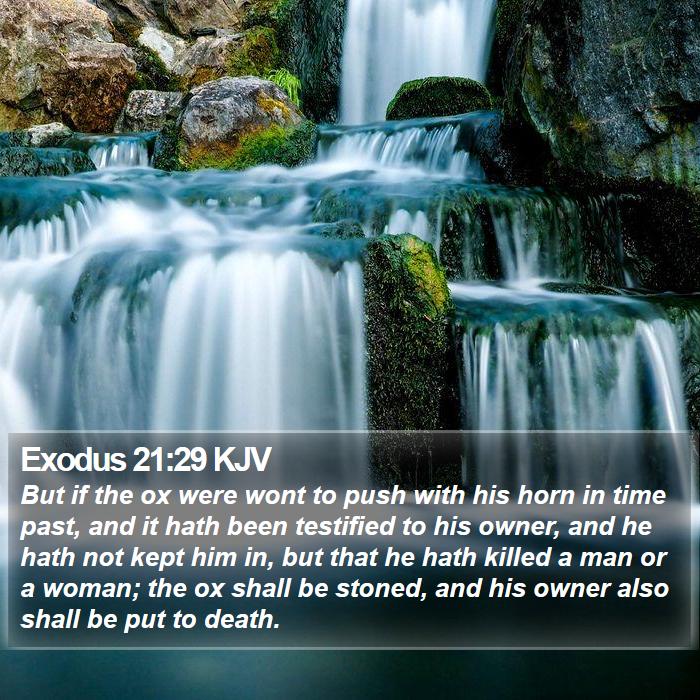 Exodus 21:29 KJV Bible Study