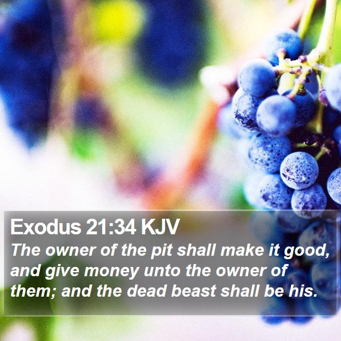 Exodus 21:34 KJV Bible Study