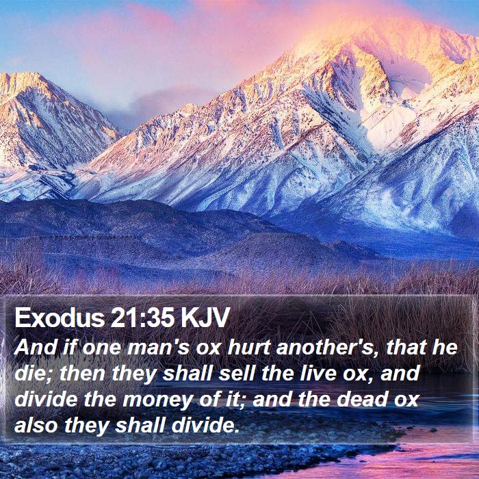 Exodus 21:35 KJV Bible Study