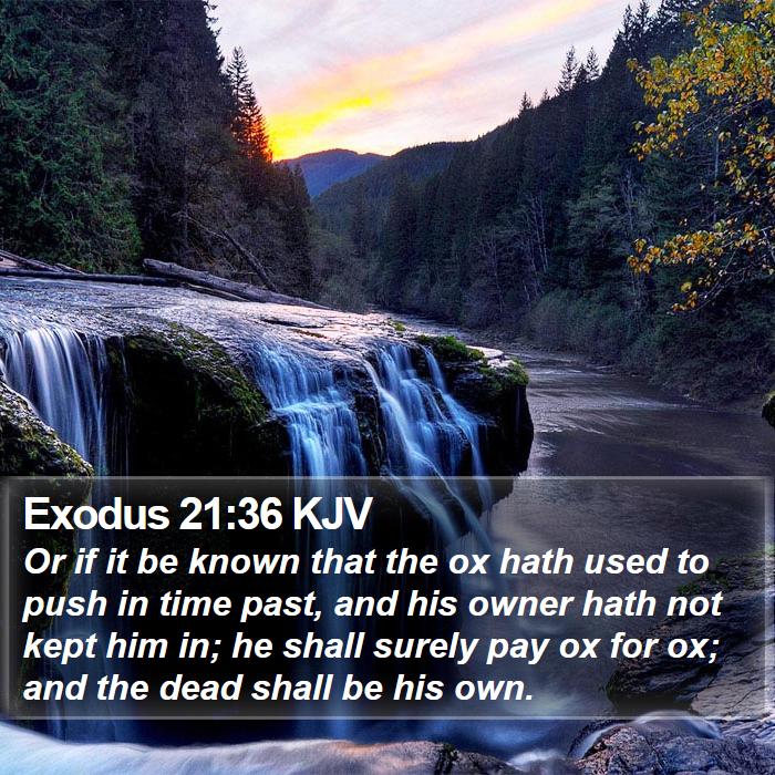 Exodus 21:36 KJV Bible Study