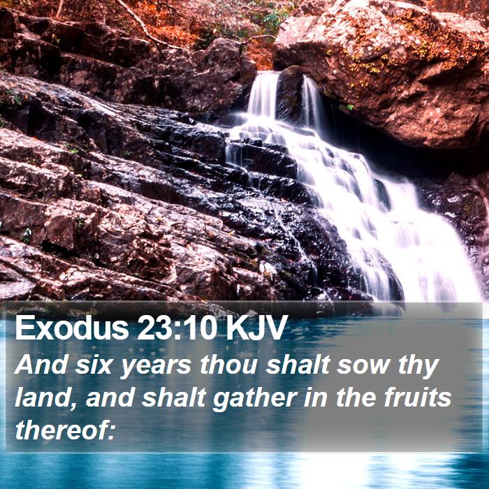 Exodus 23:10 KJV Bible Study