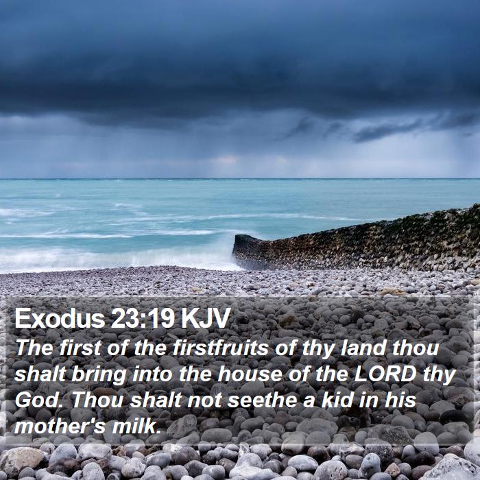 Exodus 23:19 KJV Bible Study