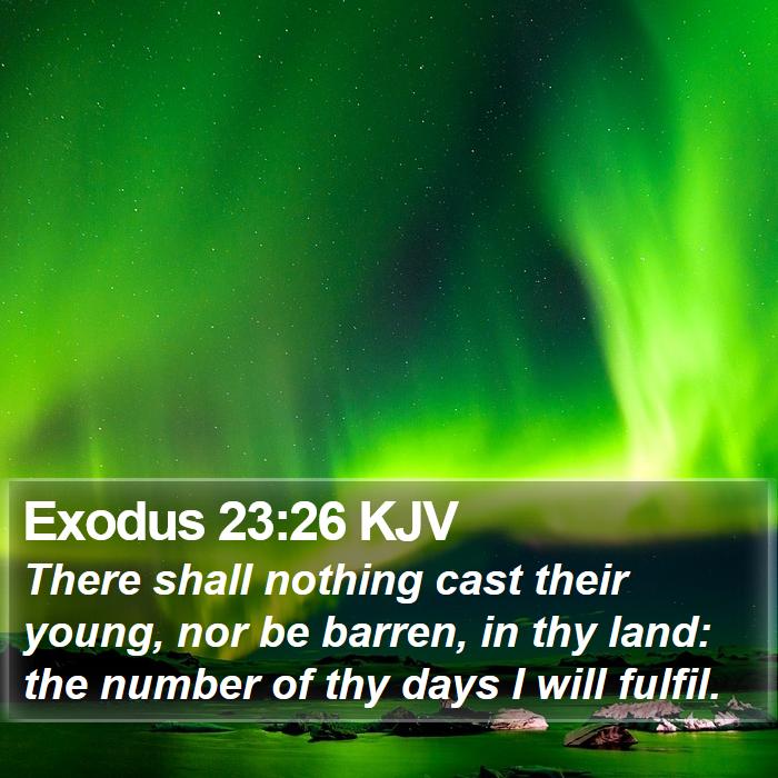 Exodus 23:26 KJV Bible Study