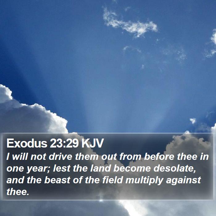 Exodus 23:29 KJV Bible Study