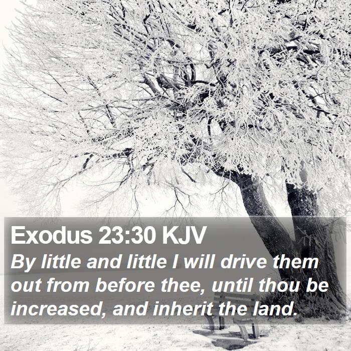 Exodus 23:30 KJV Bible Study