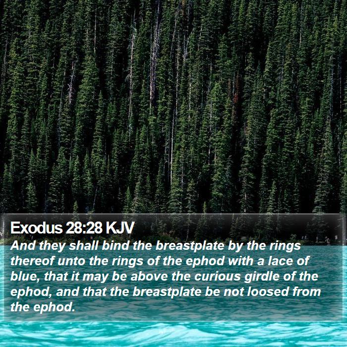 Exodus 28:28 KJV Bible Study