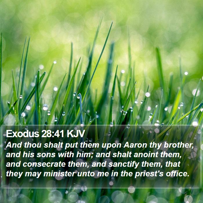 Exodus 28:41 KJV Bible Study