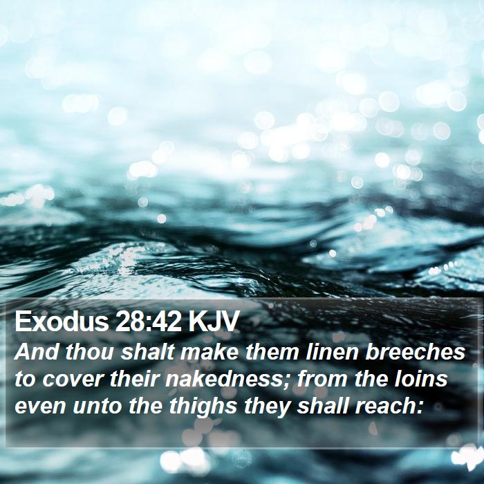 Exodus 28:42 KJV Bible Study