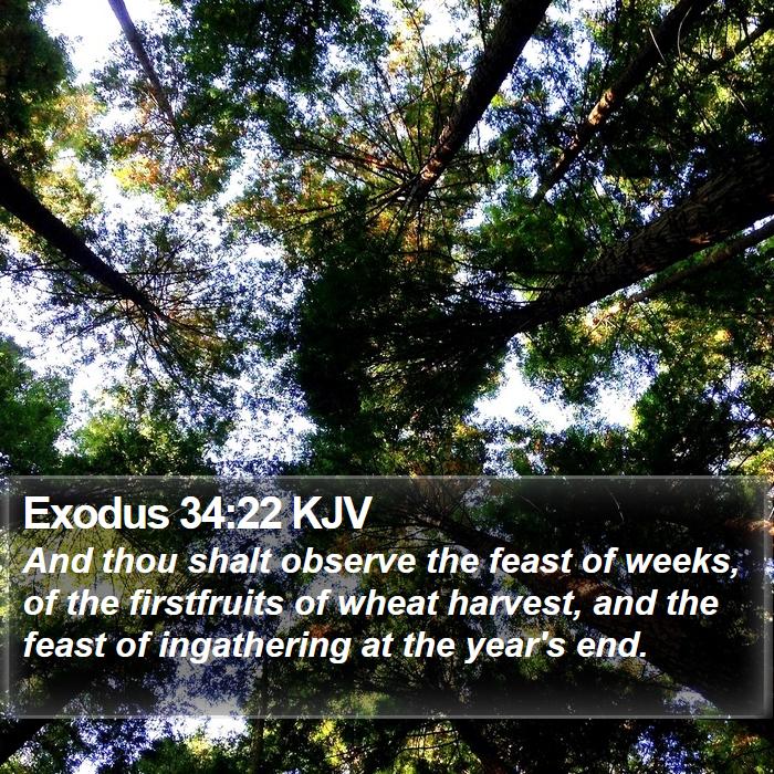 Exodus 34:22 KJV Bible Study