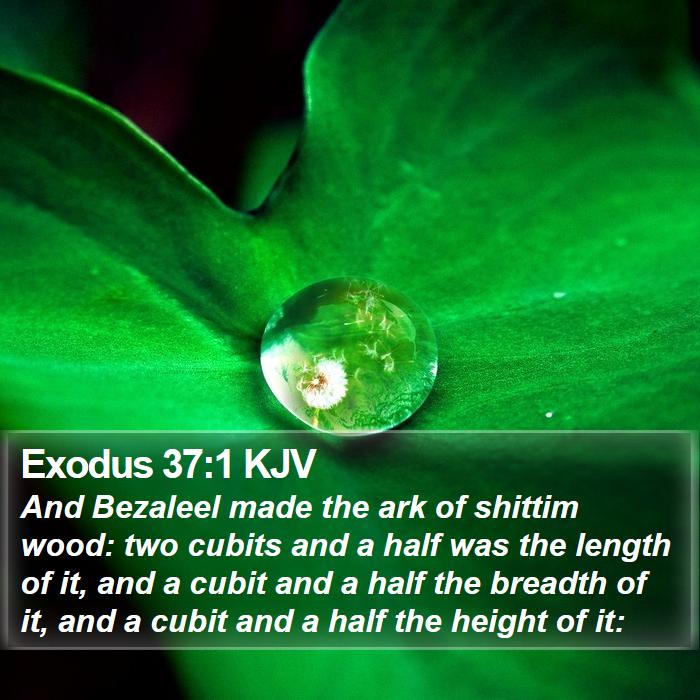 Exodus 37:1 KJV Bible Study