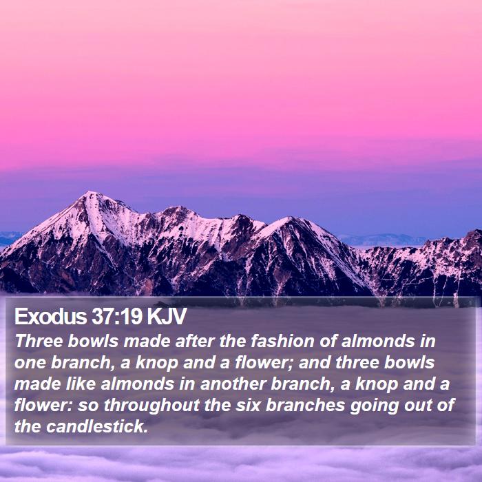 Exodus 37:19 KJV Bible Study