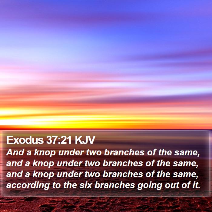 Exodus 37:21 KJV Bible Study