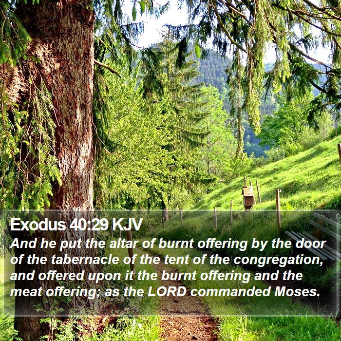 Exodus 40:29 KJV Bible Study