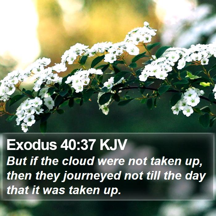 Exodus 40:37 KJV Bible Study