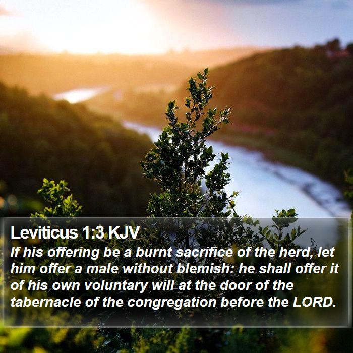 Leviticus 1:3 KJV Bible Study