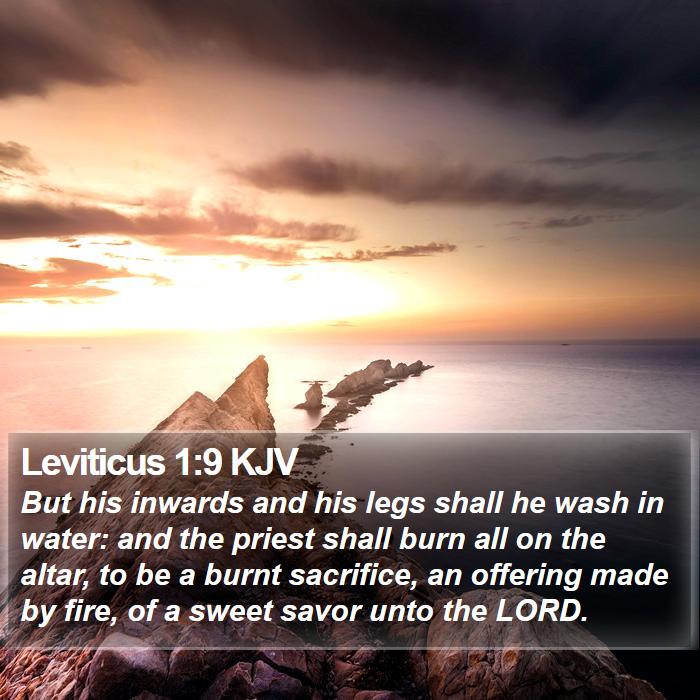 Leviticus 1:9 KJV Bible Study