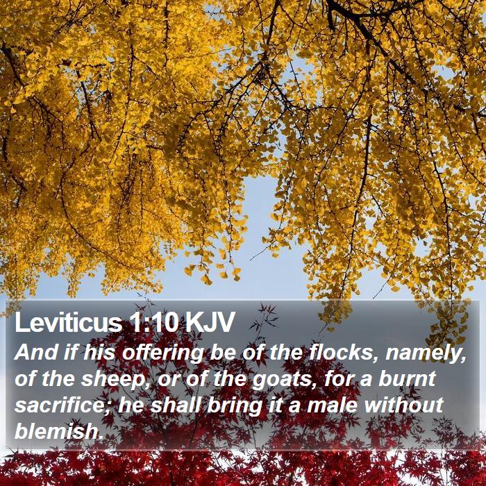 Leviticus 1:10 KJV Bible Study