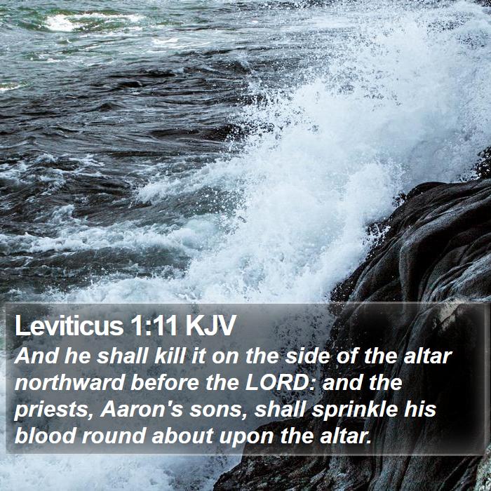 Leviticus 1:11 KJV Bible Study