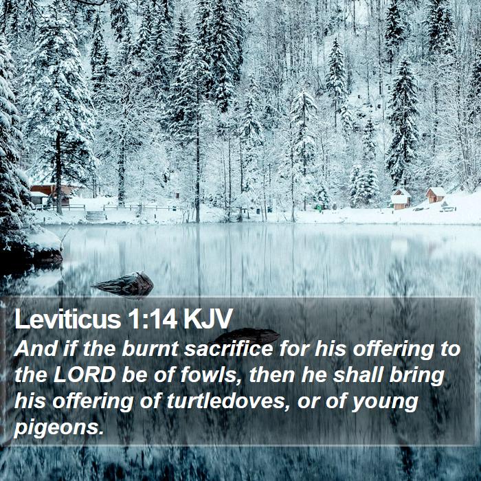 Leviticus 1:14 KJV Bible Study