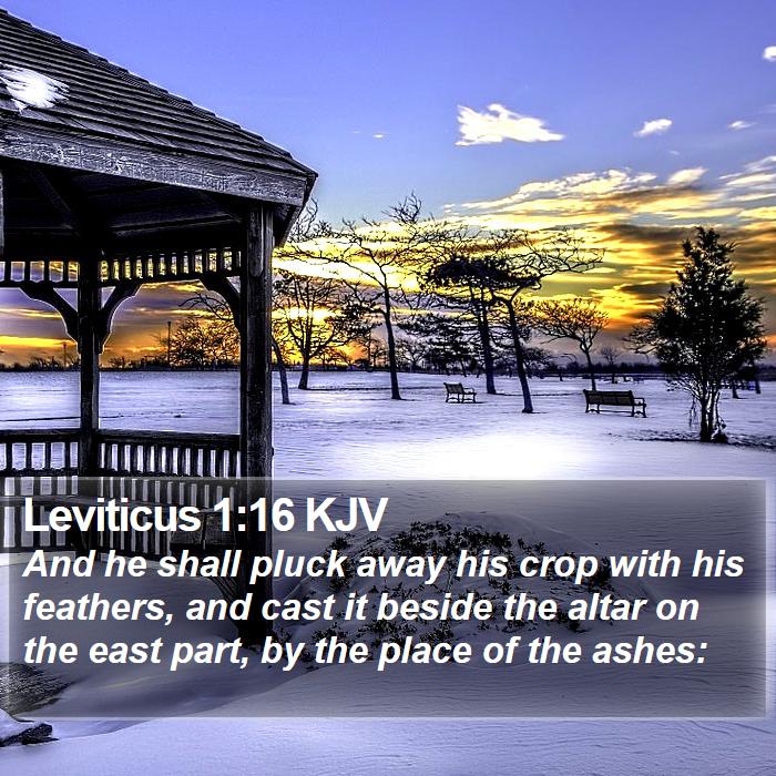 Leviticus 1:16 KJV Bible Study