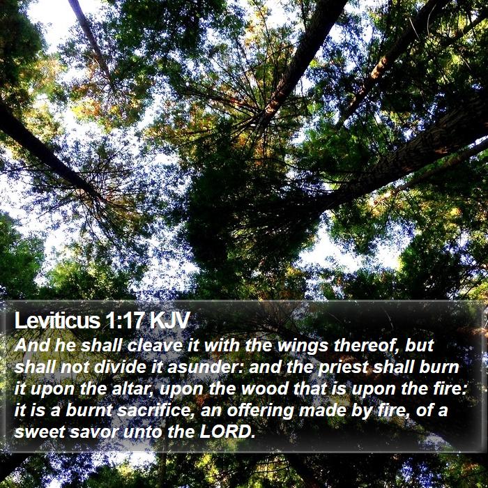 Leviticus 1:17 KJV Bible Study