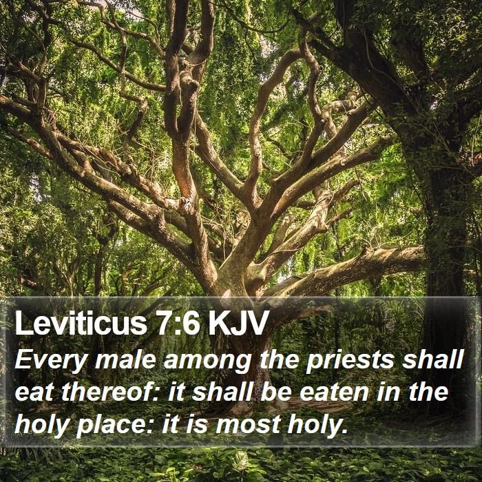 Leviticus 7:6 KJV Bible Study