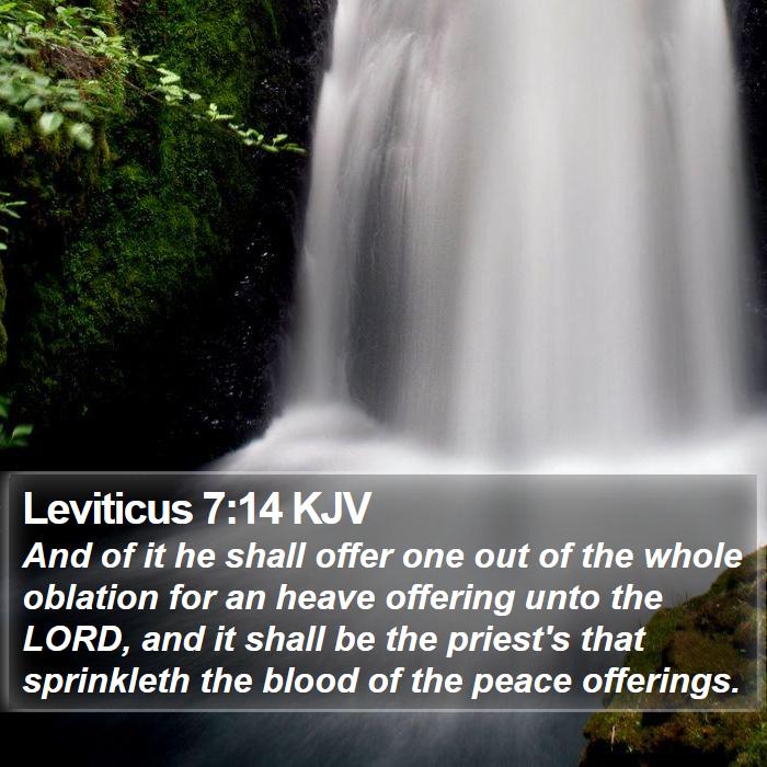 Leviticus 7:14 KJV Bible Study