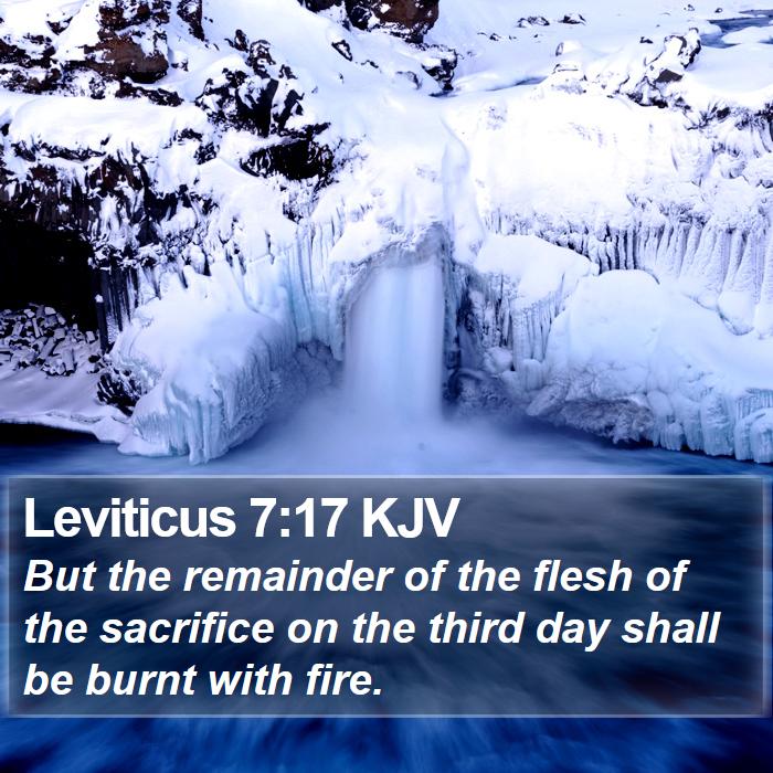 Leviticus 7:17 KJV Bible Study