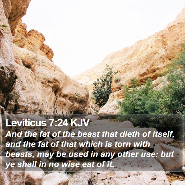 Leviticus 7:24 KJV Bible Study