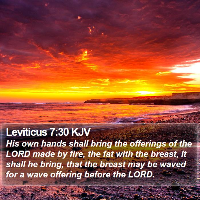 Leviticus 7:30 KJV Bible Study