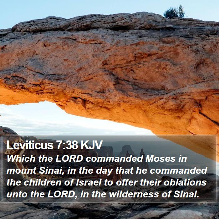 Leviticus 7:38 KJV Bible Study