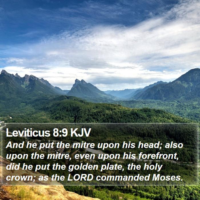 Leviticus 8:9 KJV Bible Study