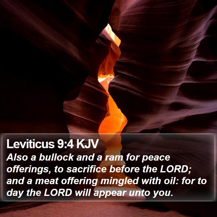 Leviticus 9:4 KJV Bible Study